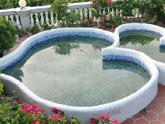 習(xí)近平會(huì)見普京